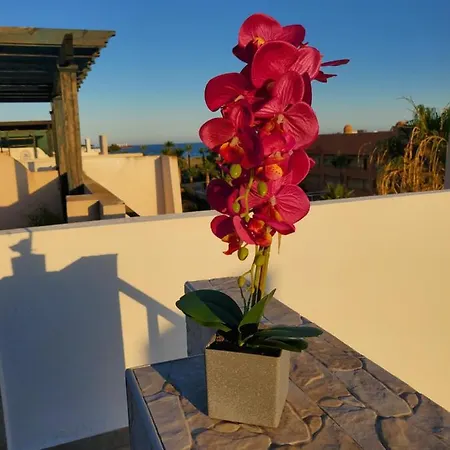 Atico Duplex Precioso Con Piscina Privada En Paraiso De Vera! * Vera